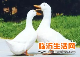 u=1889876088,2122823502&fm=253&fmt=auto&app=138&f=JPEG.webp