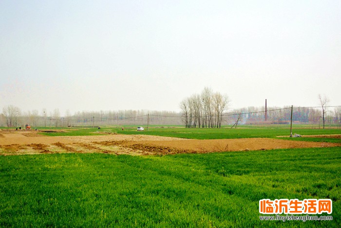 微信图片_20230327203028